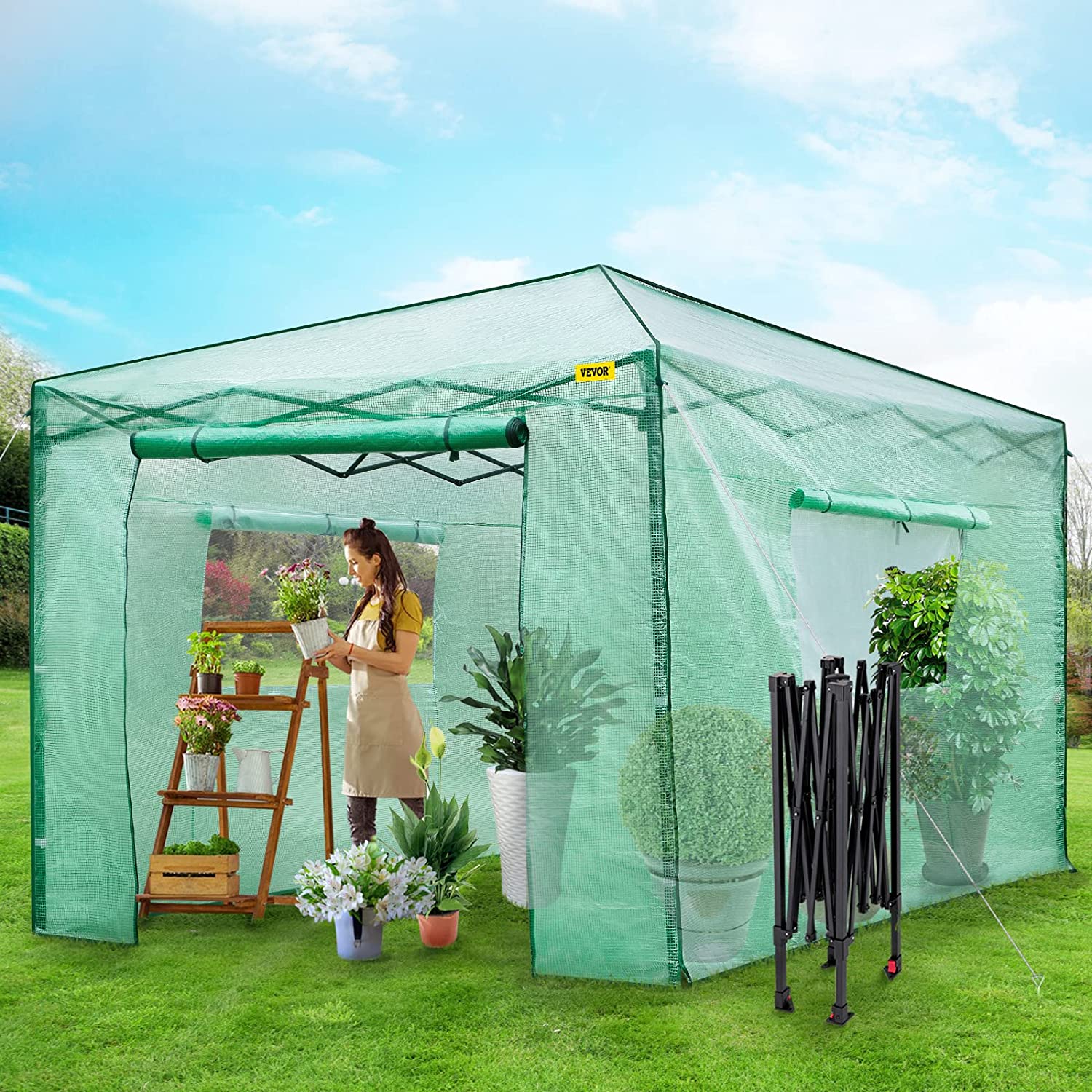 ShopGrowSpaces, 12'x 8'x 8' Pop-Up Greenhouse, Set Up in Minutes, Portable Greenhouse with Doors & Windows