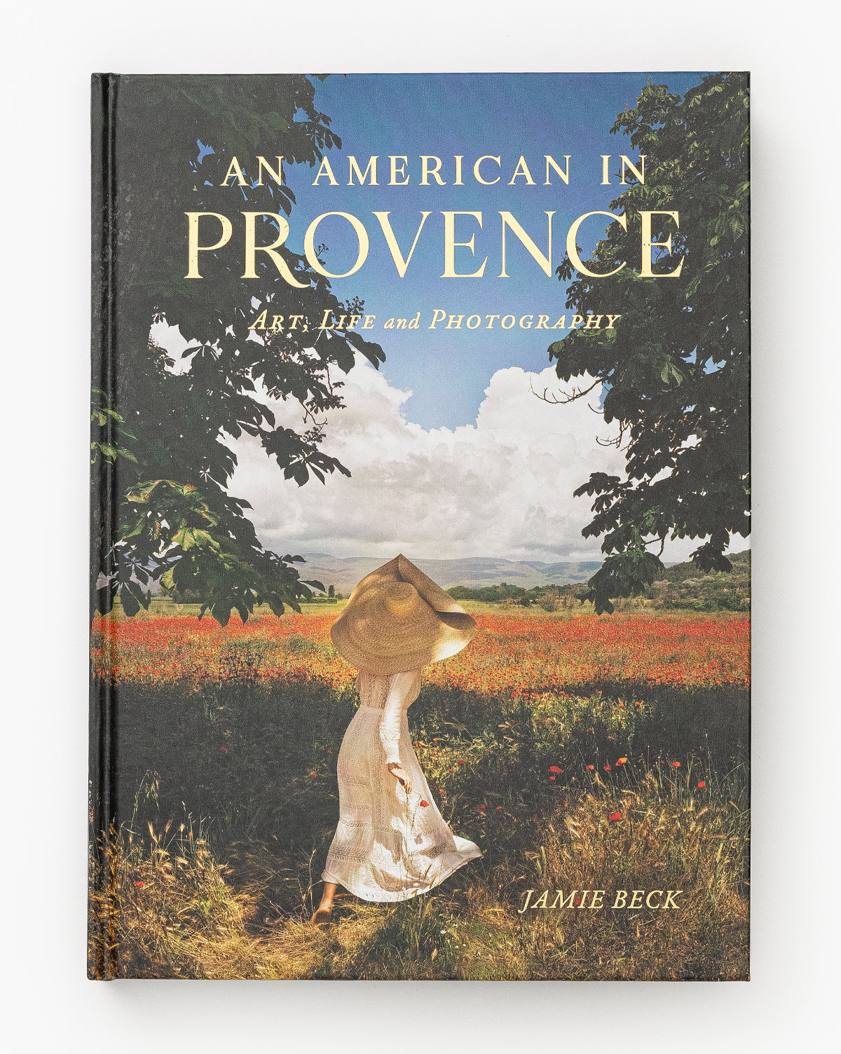 Common Ground, An American in Provence