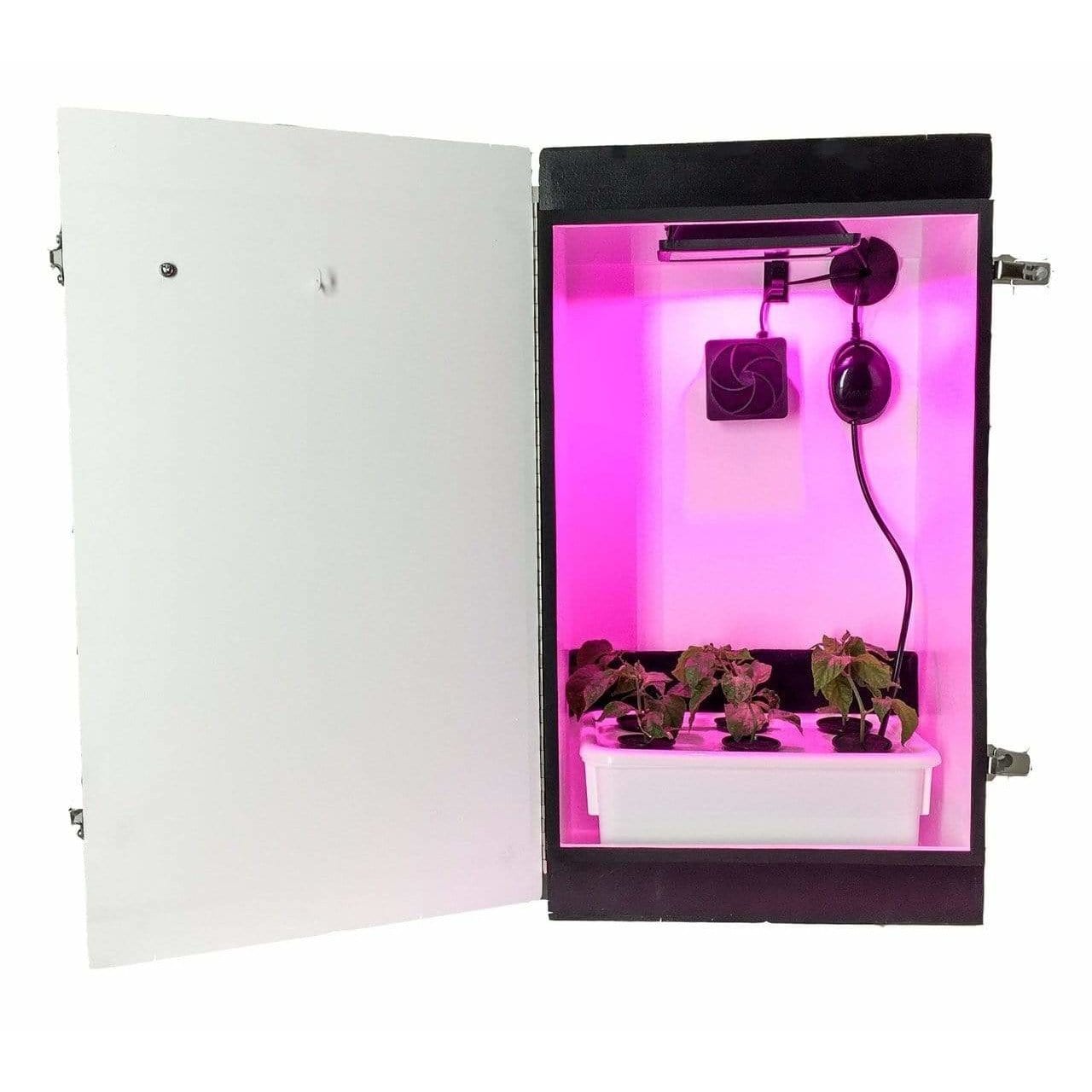 Dealzer, Baby Cloner 2.0 - 6 Plant Baby Seedling or Cloning Grow Box Cloner