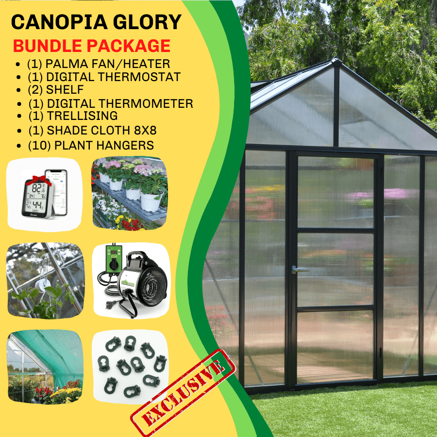 Palram - Canopia, Canopia By Palram Glory 8X20 Greenhouse HG5620