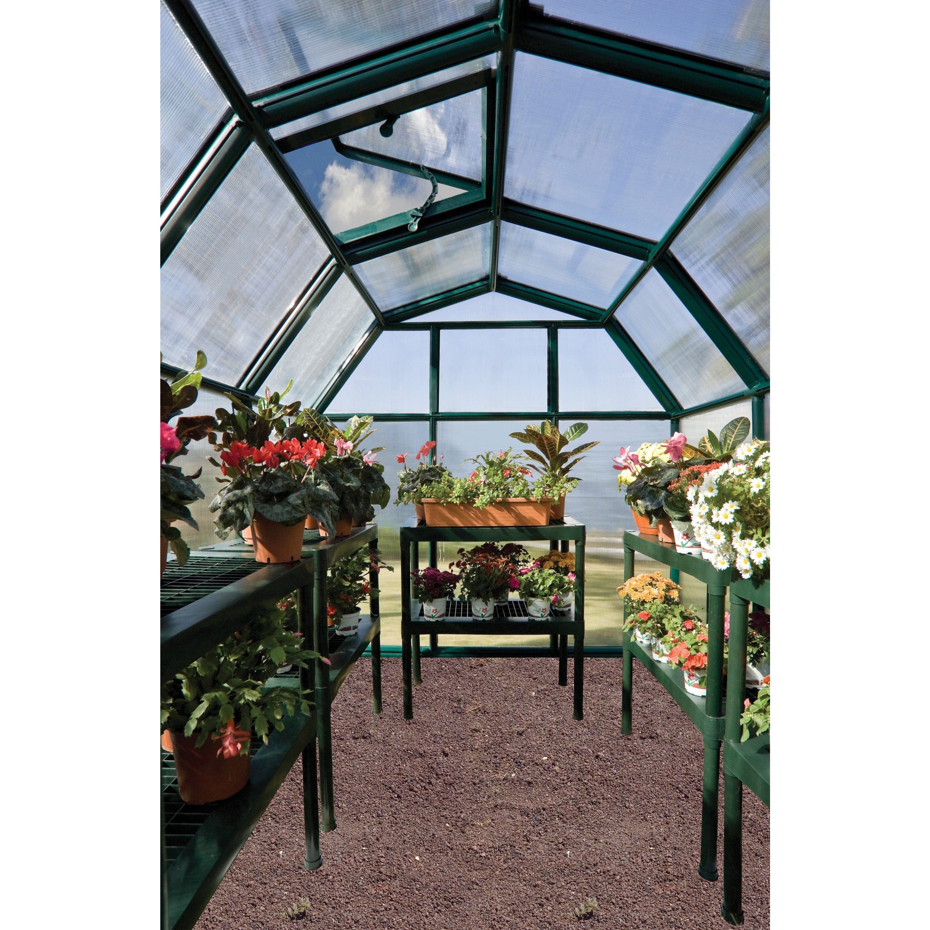 Rion, Canopia By Palram Rion Eco Grow 2 6X10 Greenhouse HG7010