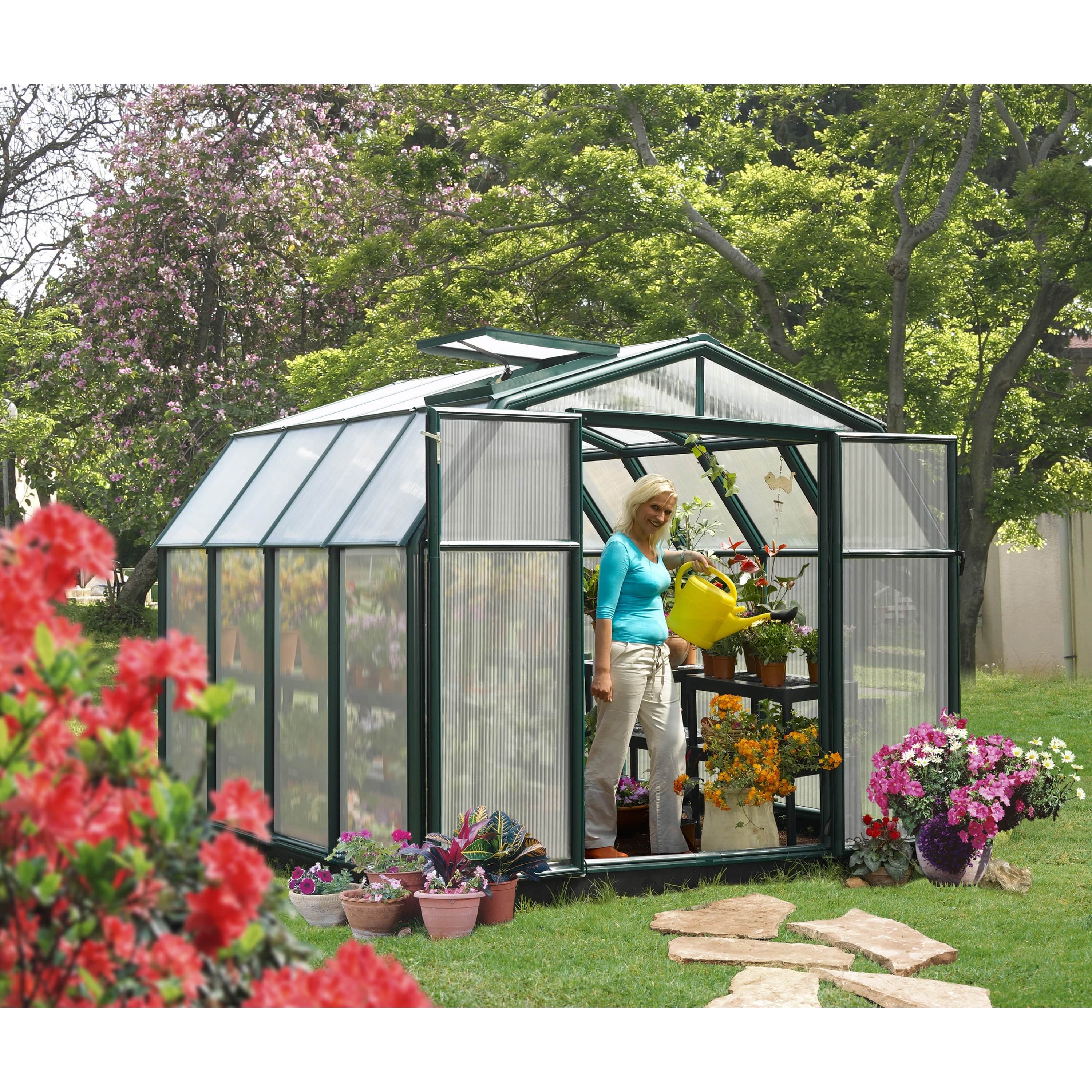 Rion, Canopia By Palram Rion Hobby Gardener 2 8X8 Greenhouse HG7108