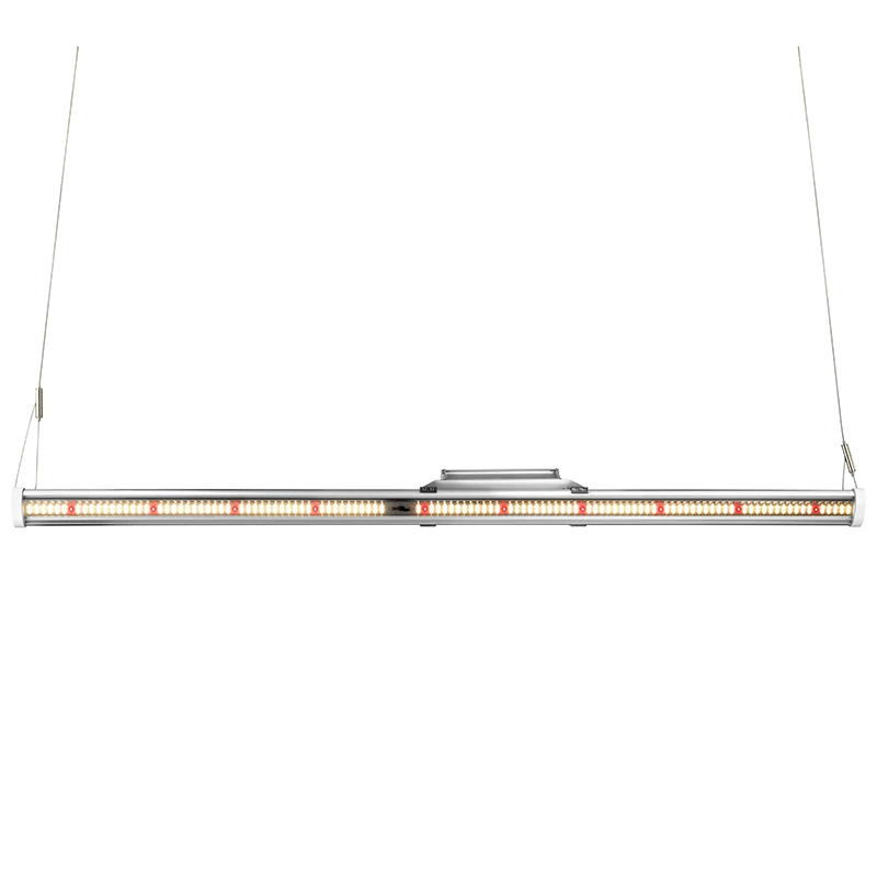 Horticulture Lighting Group, Horticulture Lighting Group HLG Saber 100 Bar Light (w/ driver)