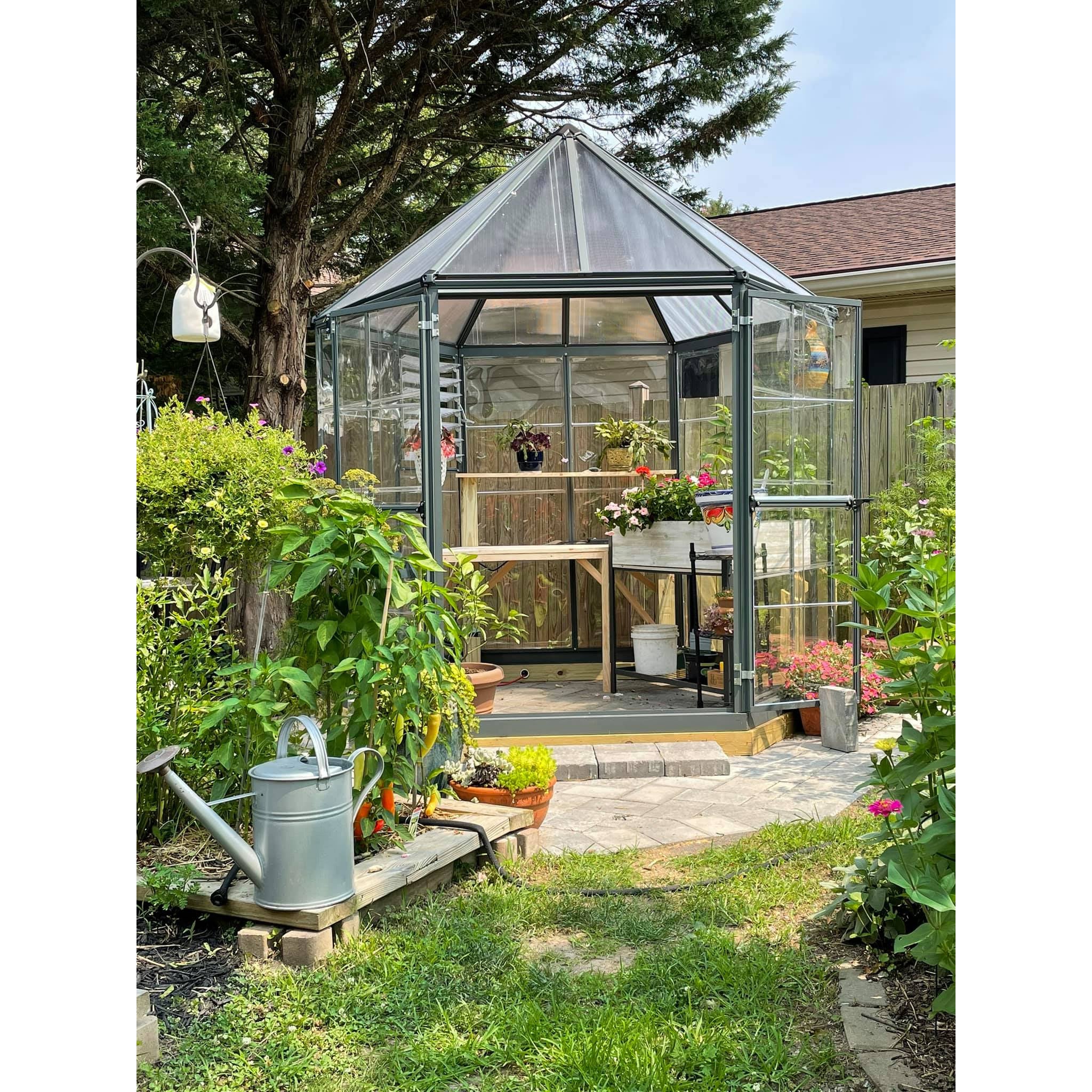 Palram - Canopia, Oasis™ 7x8x8.ft Clear Wall Hexagonal Greenhouse