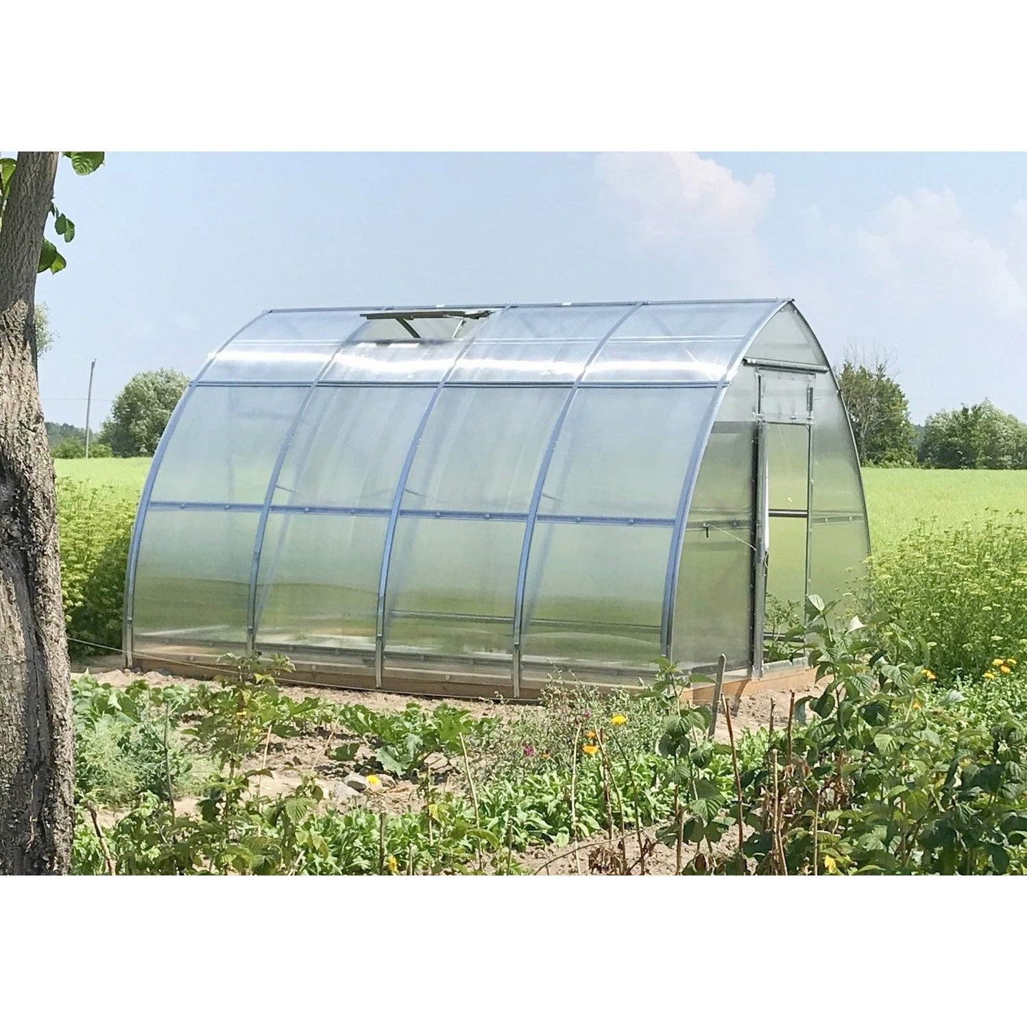 Planta, Sungrow Urbanâ„¢ 10x8x13.ft Greenhouse