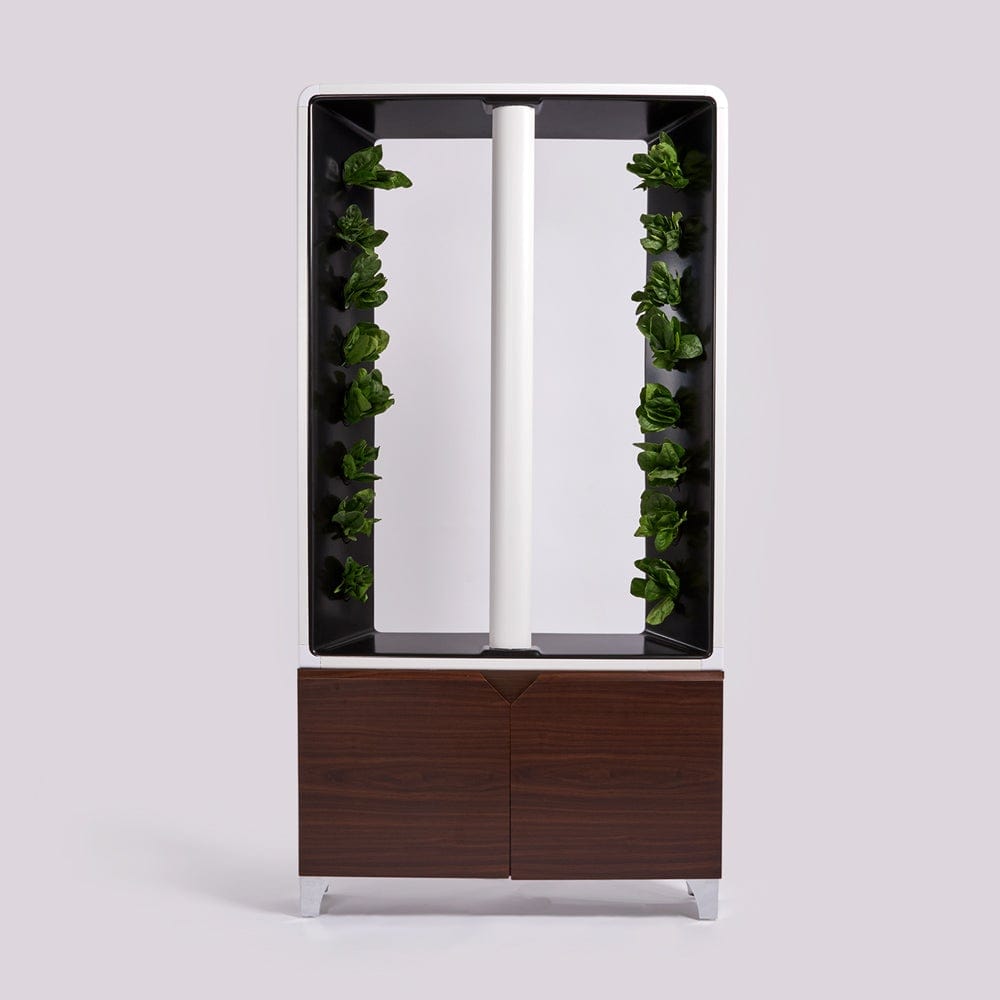 Just Vertical, The AEVA Indoor Hydroponic Home Garden